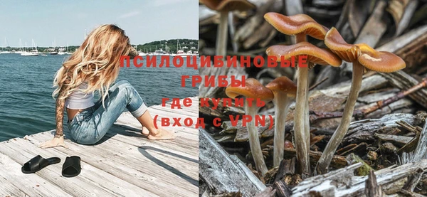 прущие крисы Протвино