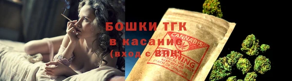 ГАЛЛЮЦИНОГЕННЫЕ ГРИБЫ Покачи