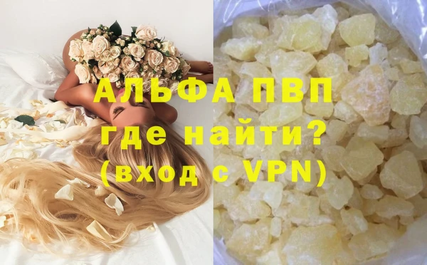 ГАЛЛЮЦИНОГЕННЫЕ ГРИБЫ Покачи