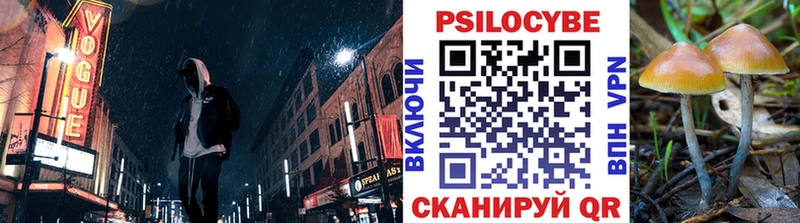 hydra сайт  Суоярви  Псилоцибиновые грибы Psilocybe 